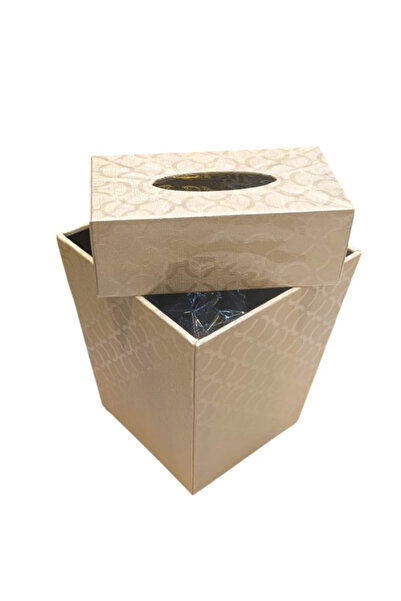 Generic This Product Is a Set of Two Matching Beige Luxury Leather Home Acces...