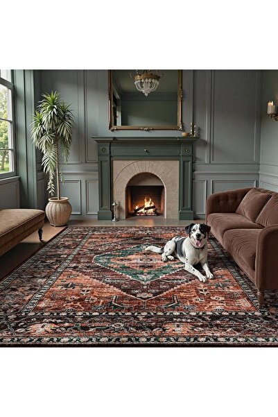GENERAL Lahome Moroccan Area Rug - 2’x3’Washable Small Entryway Accent Distre...