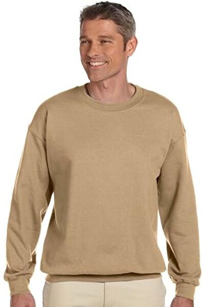 HANES mens Men's Ecosmart Fleece Sweatshirt Hooded Sweatshirt (pack of 1)