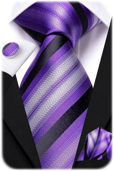 Dubulle Mens Paisely Silk Tie for Men Necktie and Pocket Square Set