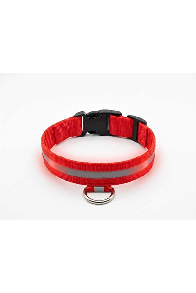 Işıklı Kedi Köpek Boyun Tasması (pilli)