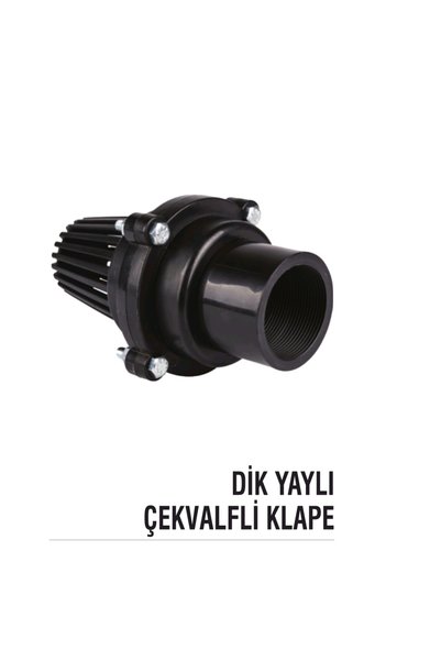 21/2 dik yaylı çekvalf klepe