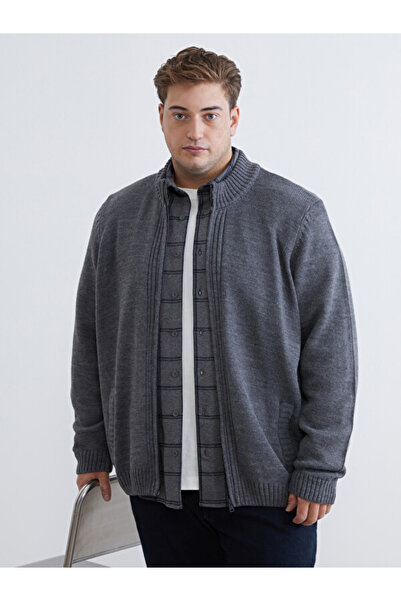 LC Waikiki Timeless Clothing & Timeless Choices Standardfit Stand Collar Men'...
