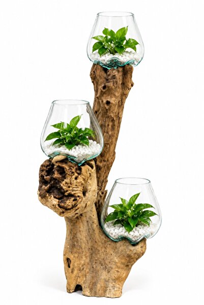 Generic Wooden Trunk Decorative Vase with 3 Glass Bowls - Artistic Creation f...