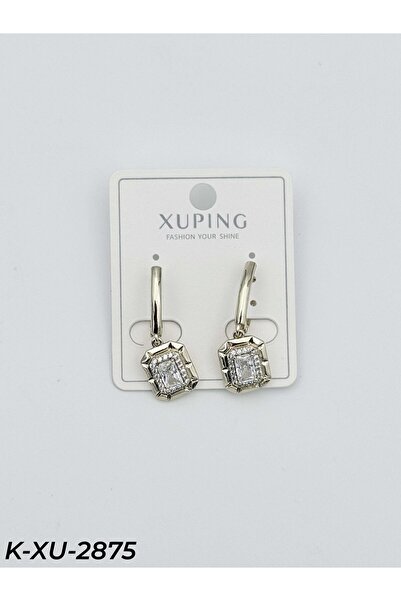 Bozhi Earrings Earrings Special Design Gift
