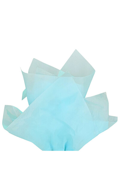 Papette Set of 100 pieces Silk paper 17g ARCTIC BLUE - 50 x 75cm