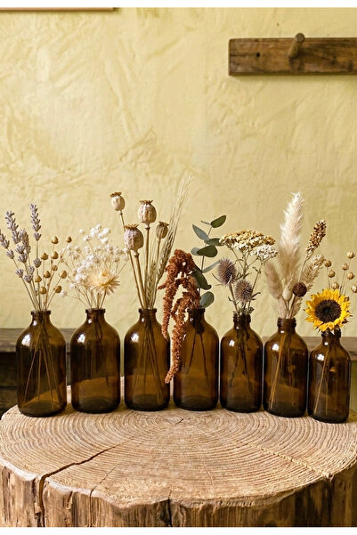 junibeliw 10 Adet Amber 100ml Küçük Cam Vazo Şişesi 10x100ml Dekoratif Şişe (...