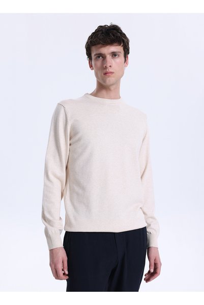 ALTINYILDIZ CLASSICS Crew Neck Standard Beige Men's Sweater Ace043261432_Bej