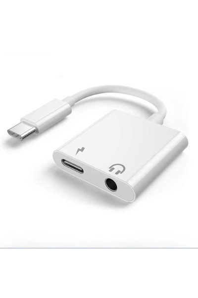 Skygo Type-c 2in1 aux converter zr793