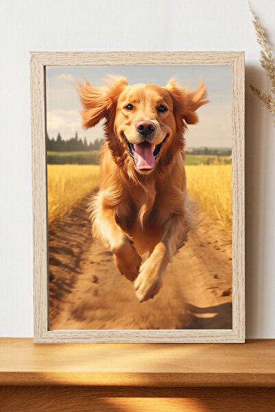 Luna Marissa Αφίσα Golden Retriever - Αφίσα τοίχου από γυαλιστερό χαρτί χωρίς...