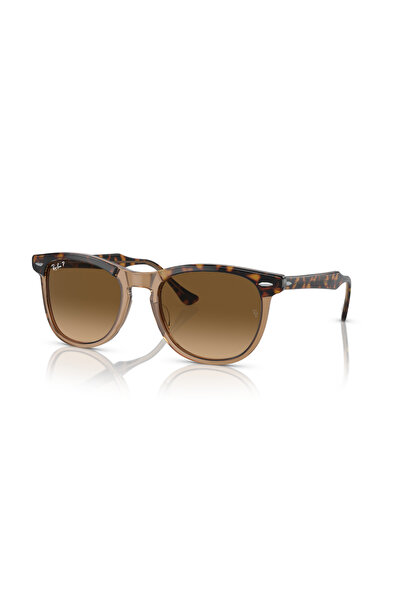 Ray-Ban Rb 2398 1292m2 53 Eagle Eye Polarized Sunglasses