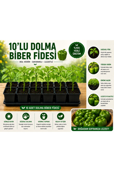 Mera Çiçekçilik Dolma Biber Fidesi 10 Adet