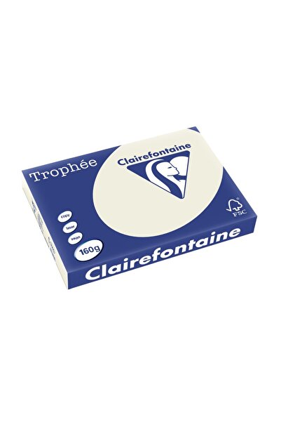 Clairefontaine Carton A3 160 g/m² culoare palida 250 coli/bloc gri