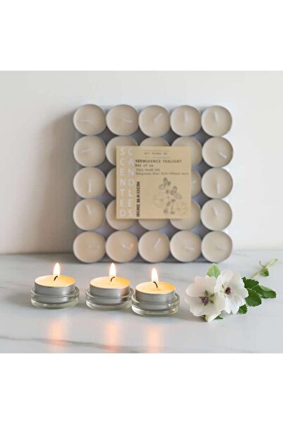 PAN HOME Indulgence Musk Mallow 50 - Piece Tealight Candle - 2.5 Hrs