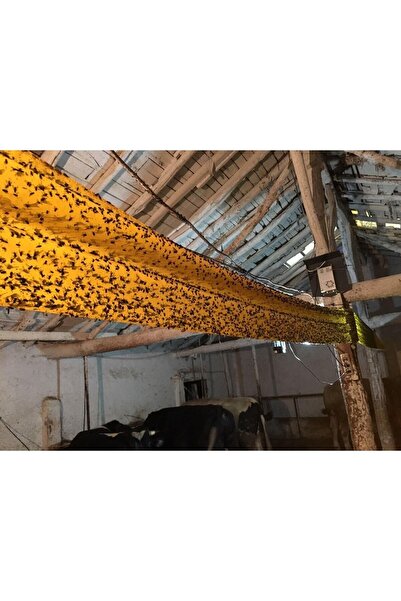 Çiftlik AVM Açık Alan Kullanımına Uygun Karasinek Rulo Tuzağı 30cm-50m