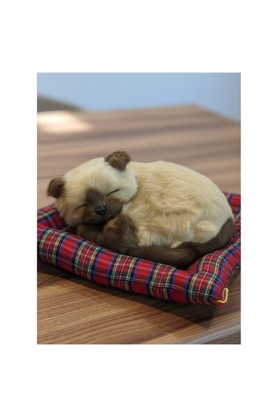 GiFi Peluş Yavru Kedi Oyuncak Minder Üstünde Uyuyan Kedi Orta Boy