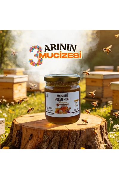 Safran Güneşi Arı Sütü - Polen - Bal Karışımı 230g