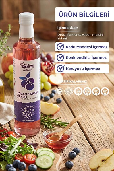 HAVRAN KOCASEYİT Doğal Antioksidan Yaban Mersini Sirkesi 500 ml