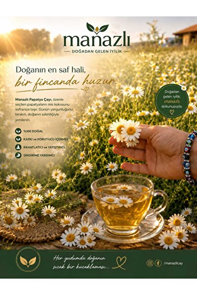 Manazlı Grup Papatya bitki çayı 100g