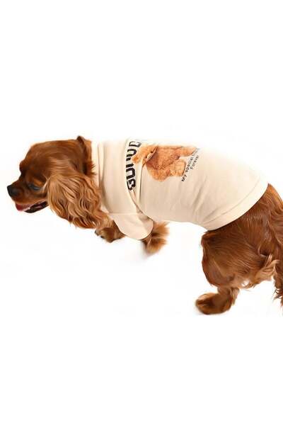 Petza Küçük ve Orta Irk Köpek Sweater - Lammi