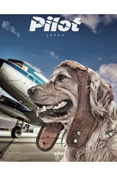 Petza Küçük Orta ve Büyük Irk Köpek Şapka Pilot Kahve