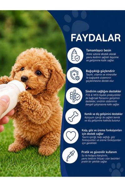 Dr. Nature's Puppy Milk Yavru Köpek ve Hamile Anne Köpek Besleyici Süt Tozu Taurin ve Prebiyotik Takviyeli 200 Gr