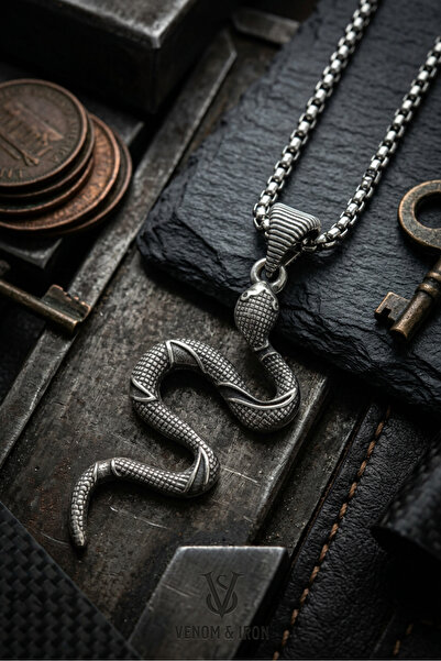 Begondio Snake Handcrafted Stainless Steel Chain Men's Necklace