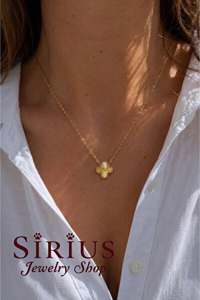 sirius jewelry 316L Çelik Clf Kolye