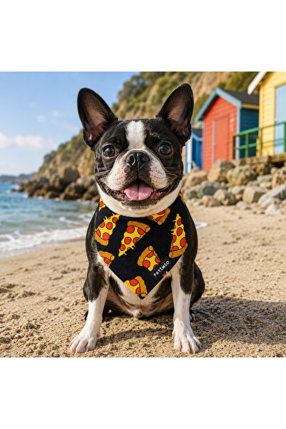PATİMİO Pizza Cat And Dog Collar Scarf Bandana