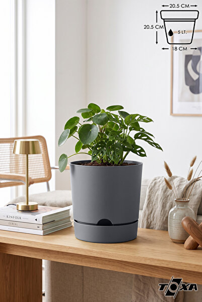 ToXA 5 Litre Gri Begonya Saksı Tabaklı Dekoratif Mat Plastik Saksı