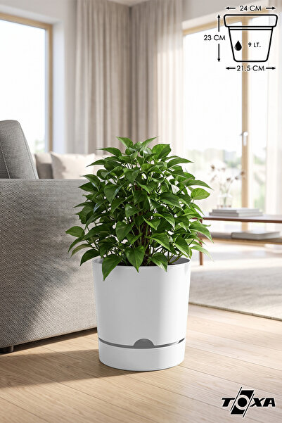 ToXA 9 Litre Beyaz Begonya Saksı Tabaklı Dekoratif Mat Plastik Saksı