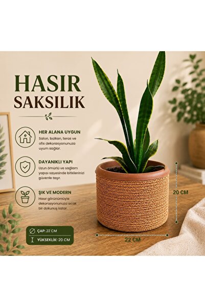 EYLCOTTON Hasır Saksılık Yuvarlak çok amaçlı Sepet Saksılık 22x20