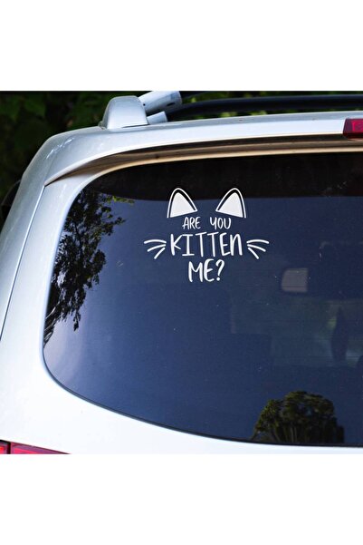 OEM Sticker auto (30cm) - Kitty