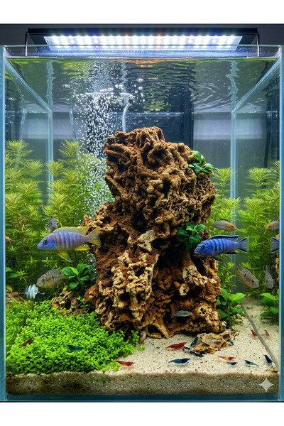 Ecdconcept Spaghetti Large Büyük 20-30 cm Akvaryum Dekor Kaya Doğaltaş Büyük ...