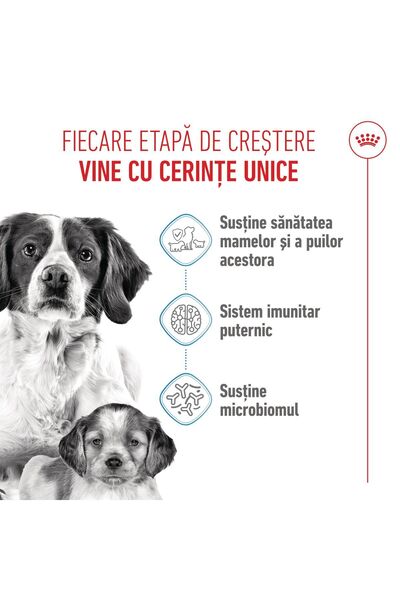 Royal Canin Hrană uscată medie pentru câini și căței, 4 kg