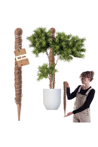KADAX Suport pentru plante, țăruș de cocos 60cm, 45mm, pentru Monstera