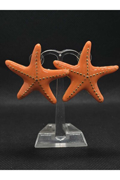 sarıyer silver Sea Star Model Mine Handcrafted Steel Women's Earrings Summer ...