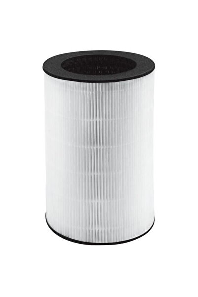 Homedics Filtru HEPA AP-T40FLR