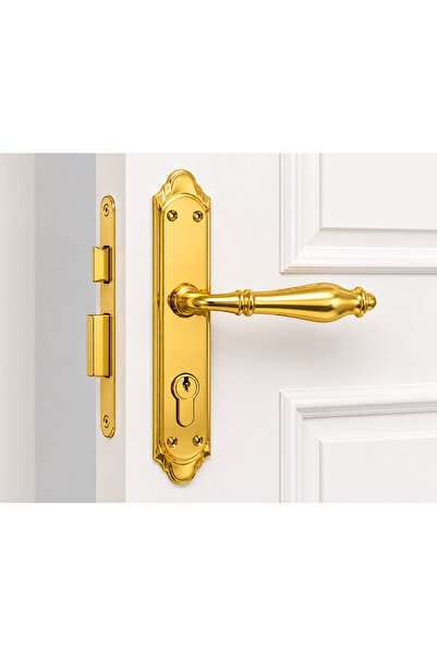 Generic Elegant Full Set 201-G Brass Mortise Door Handle – Premium Pair Set