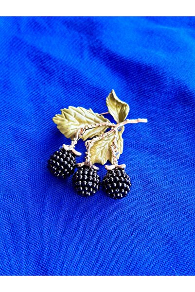 Broş