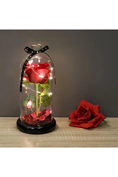 Zumzeria Cupolă decorativă cu LED și trandafir artificial Ø11x24cm