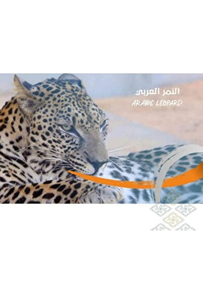 GENERAL بطاقة فنية رقمية أصلية للنمر العربي | بطاقة فنية رقمية بصورة النمر ال...