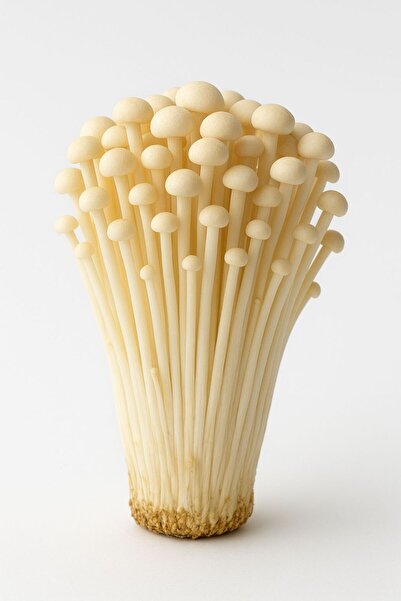china gurme ENOKİ MANTARI TAZE 150G