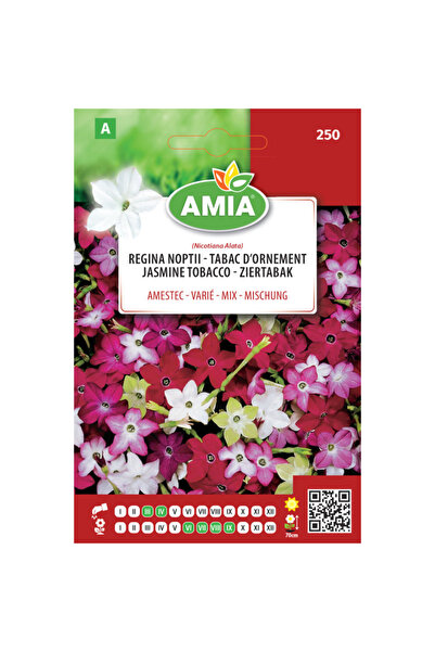 Amia Seminte de flori Regina noptii amestec Amia, 0,7 g