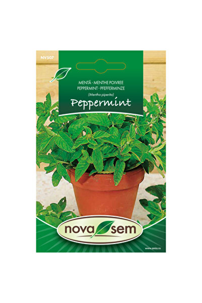 Novasem Seminte de menta Novasem, 0,07 g