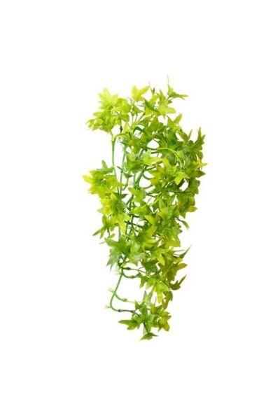 Hobby Climber Ivy Διακοσμητικό Φυτό 37cm