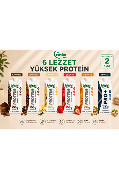 Pınar Laktozsuz Proteinli Süt 500ml x 12 adet 6 Cesit Karma Paket