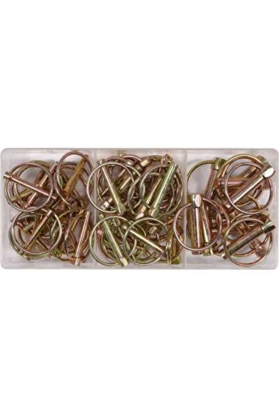 yato Set Pini Pentru Securizat, 50 Buc