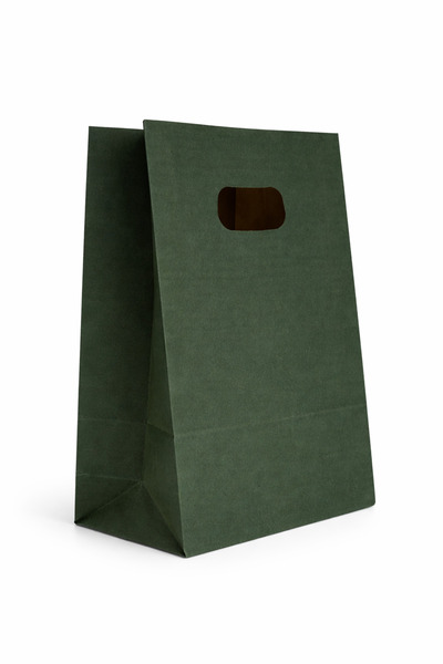 EWs Paper gift bag 14 x 7 x 21 cm, dark green, set of 15 pieces