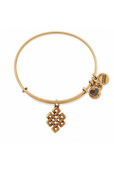 Alex and Ani Bratara Metal A10EB142RG